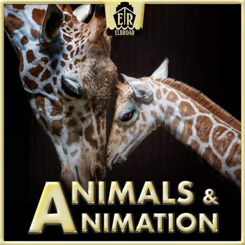 Animals & Animation - Optimistic, Folksy Ditties and Humorous Acoustic Arrangements