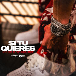 SI TU QUIERES