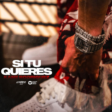 SI TU QUIERES