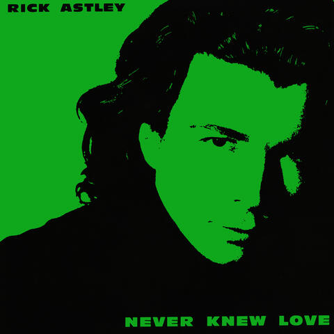 Never Knew Love