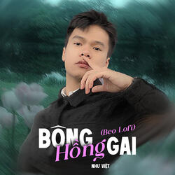 Bông Hồng Gai