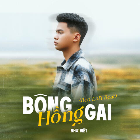 Bông Hồng Gai (Beat)