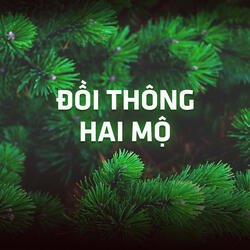 Em Đi Trên Cỏ Non