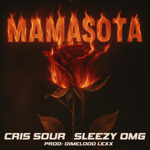 Mamasota