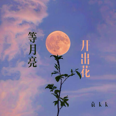 等月亮開出花
