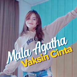 Vaksin Cinta