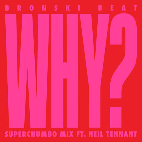 Why? (feat. Neil Tennant)