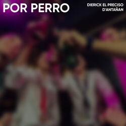 X-Perro