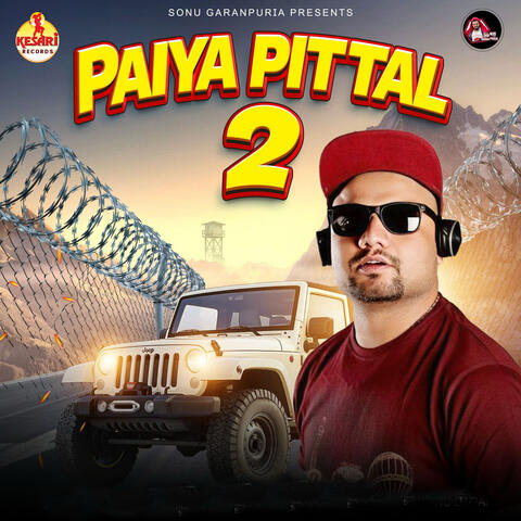 Paiya Pittal 2