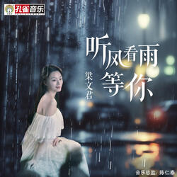 聽風看雨等你