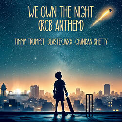 We Own The Night (feat. Chandan Shetty)