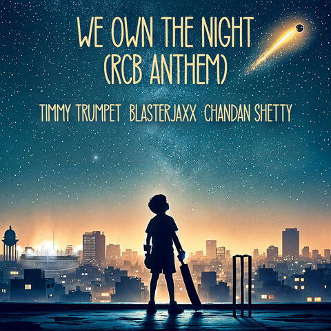 We Own The Night (feat. Chandan Shetty)