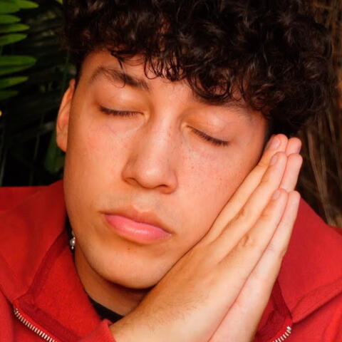 Unbelieveable ASMR Sleep Experience