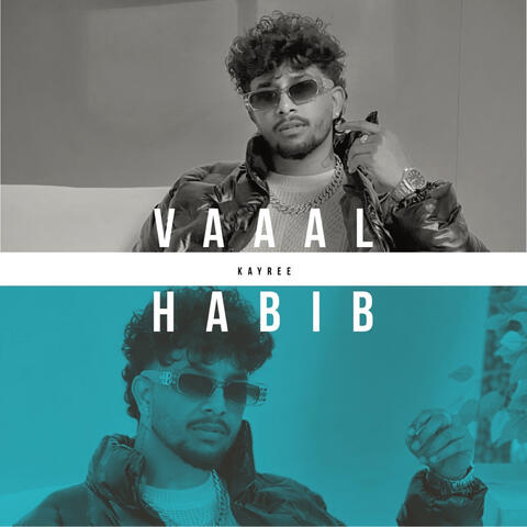 Vaaal