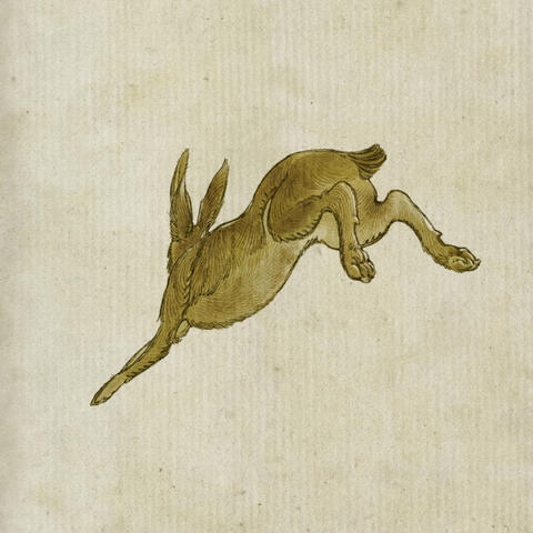 Harpy Hare