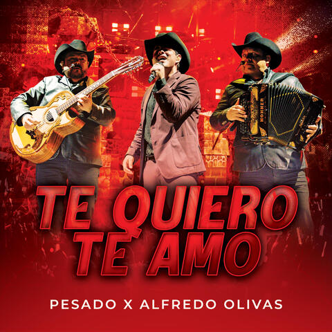 Te quiero, te amo