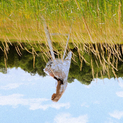 Fall Like a Feather