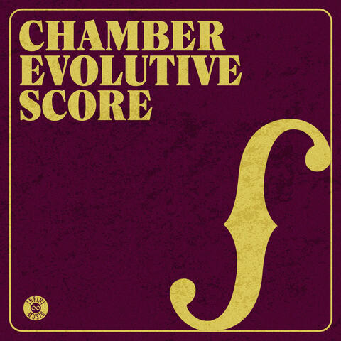 Chamber Evolutive Score