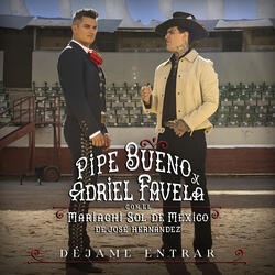 Déjame entrar (feat. Mariachi Sol De Mexico De Jose Hernandez)