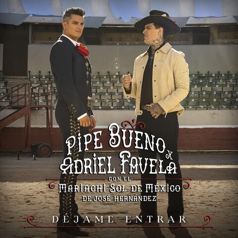 Déjame entrar (feat. Mariachi Sol De Mexico De Jose Hernandez)