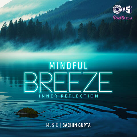 Mindful Breeze