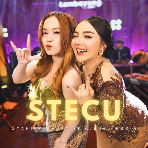Stecu (feat. Ajeng Febria)