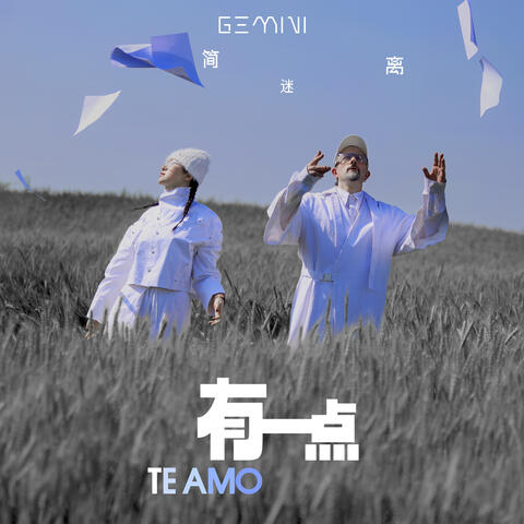有一点 TE AMO