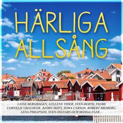 Det ska va' gamla låtar