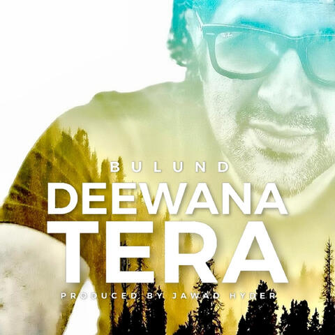 Deewana Tera