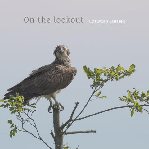 On the lookout