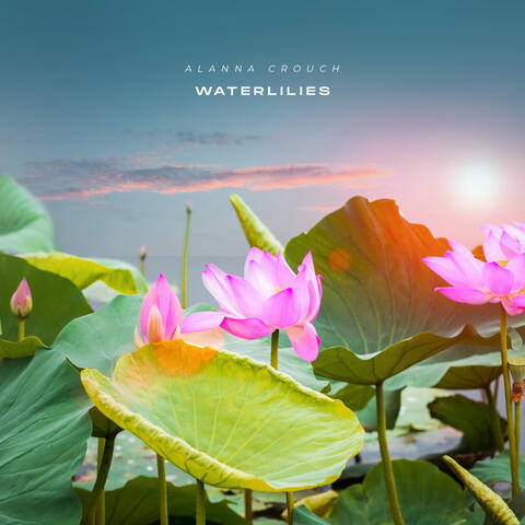 Waterlilies
