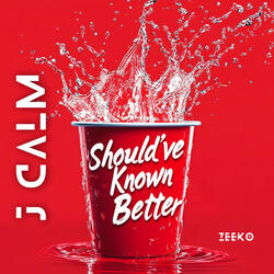 Should've Known Better (Slowed Down)