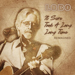 It Sure Took  A Long, Long Time (Reimagined)