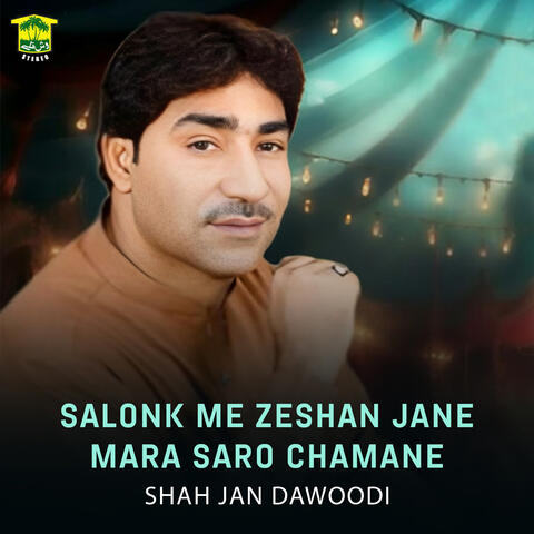 Salonk Me Zeshan Jane Mara Saro Chamane