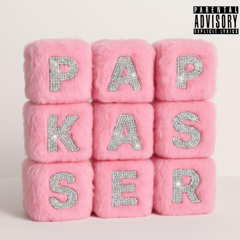 Papkasser