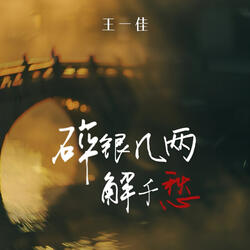 碎銀幾兩解千愁