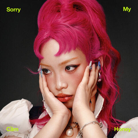Sorry My Honey