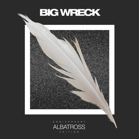 Albatross