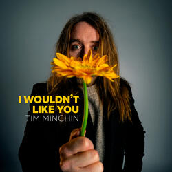 I Wouldn't Like You