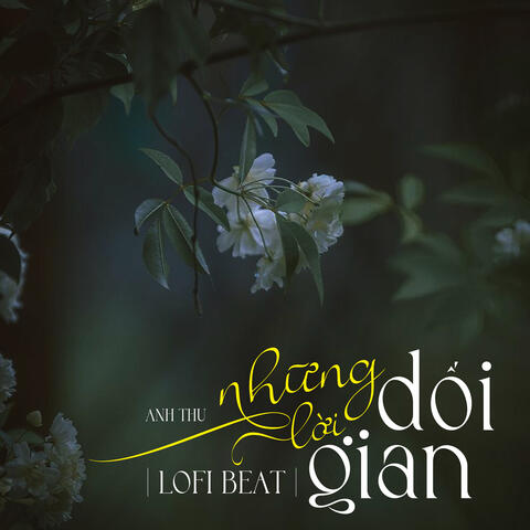 Những Lời Dối Gian (Beat)