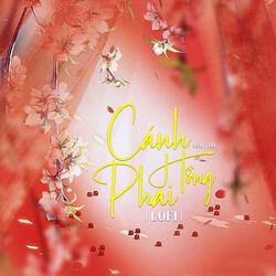 Cánh Hồng Phai (Beat)