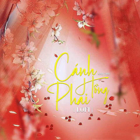 Cánh Hồng Phai (Beat)