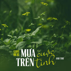 Mưa Trên Cuộc Tình (Beat)