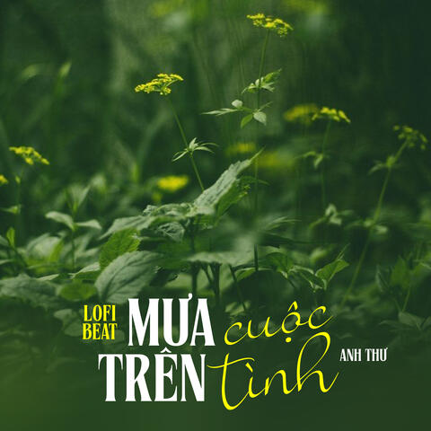 Mưa Trên Cuộc Tình (Beat)