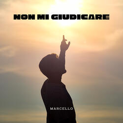 Non mi giudicare