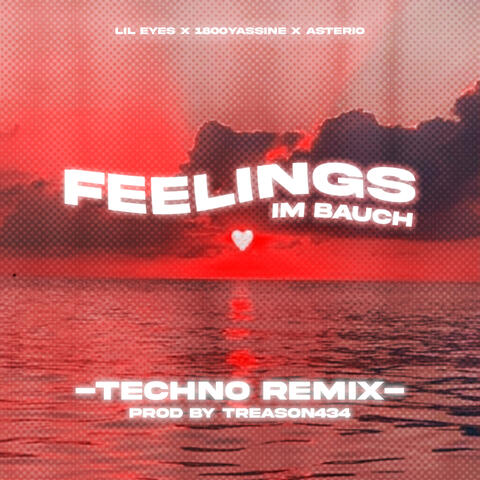 feelings im bauch (feat. treason434)
