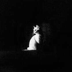 TUTTA LA NOTTE