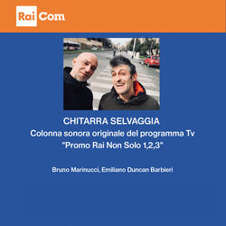 Chitarra selvaggia