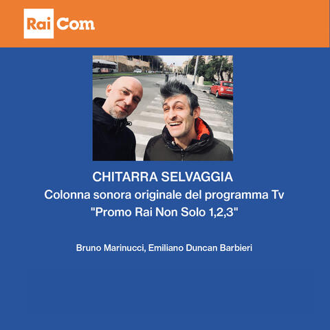 Chitarra selvaggia