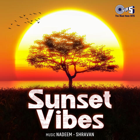 Sunset Vibes